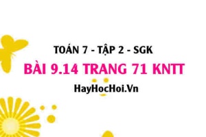 Bài 9.14 trang 71 Toán 7 Tập 2 Kết nối tri thức